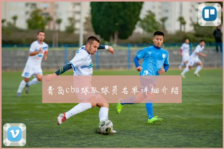 青岛cba球队球员名单详细介绍