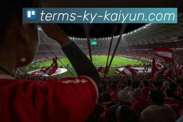 开云app品牌故事