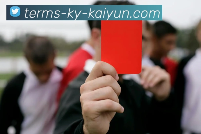 开云app服务体系